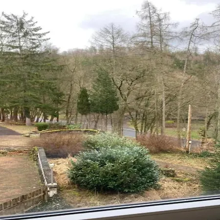 Detached, Wooden Bungalow, In A Wooded Area *